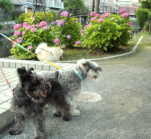 c0138198_12141990.jpg