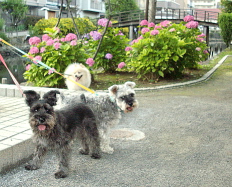 c0138198_1282398.jpg