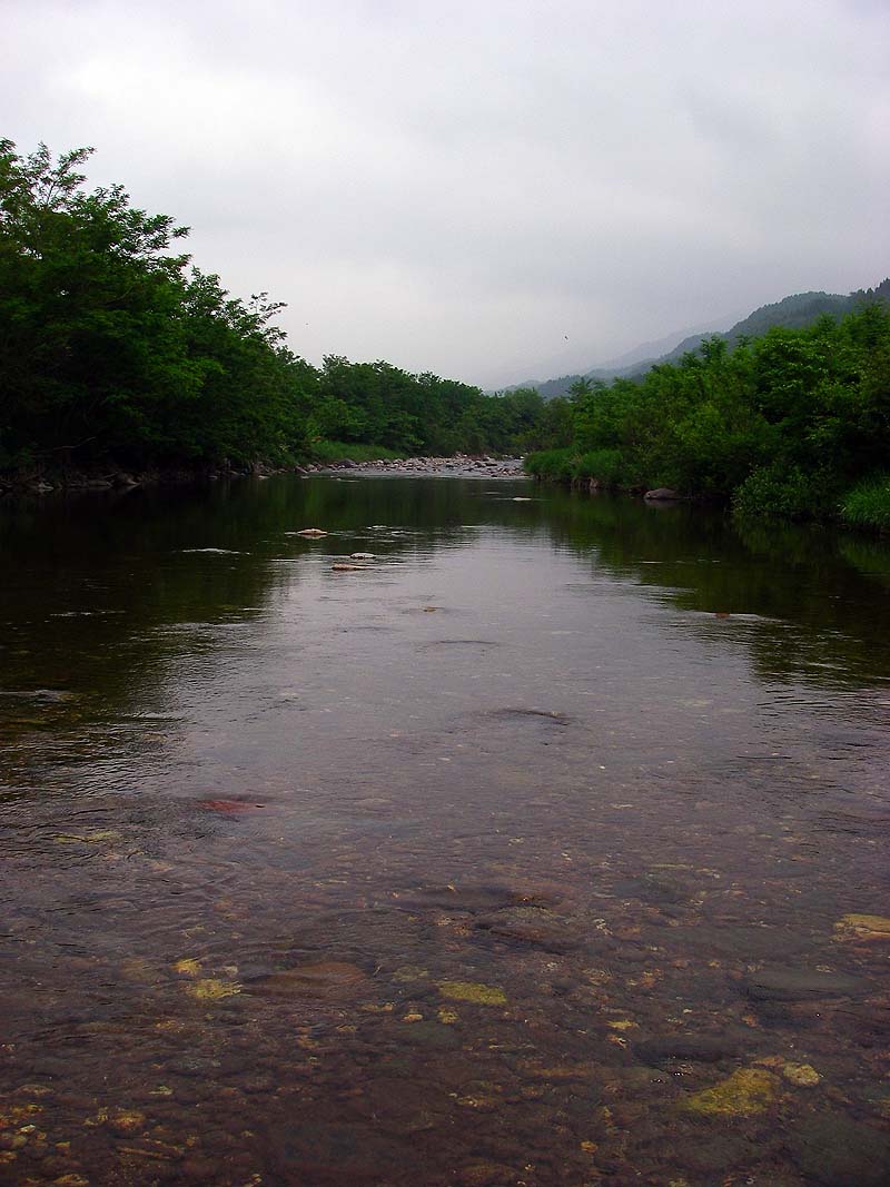 c0095801_181308.jpg