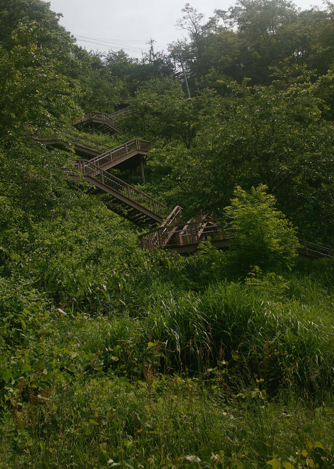 c0095801_1813881.jpg