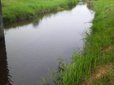 f0082402_21413074.jpg