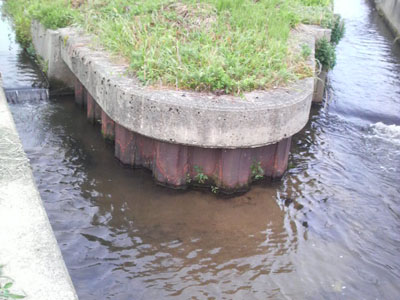 f0082402_21581177.jpg