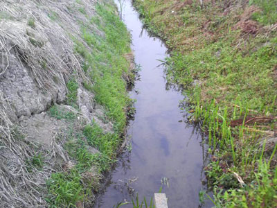 f0082402_2243899.jpg