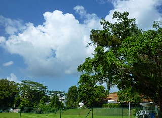 c0148705_1102384.jpg