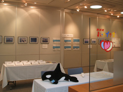 f0048405_1994472.jpg