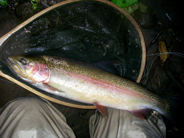 d0051707_2143223.jpg