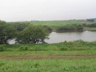 b0184211_1422414.jpg