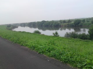 b0184211_14225945.jpg