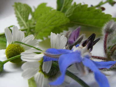 e0046112_1545463.jpg