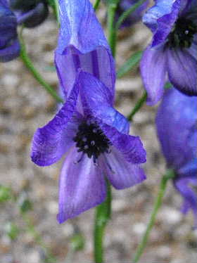 e0046112_202633.jpg