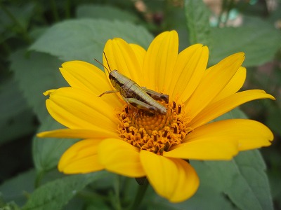 c0145016_211370.jpg