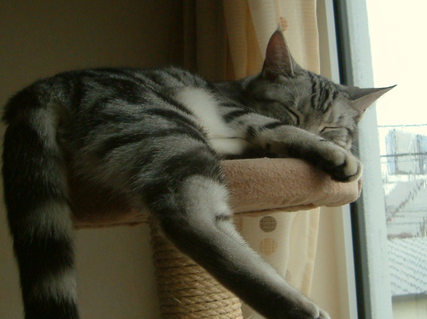 a0129020_10592383.jpg