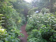 f0177521_14471212.jpg