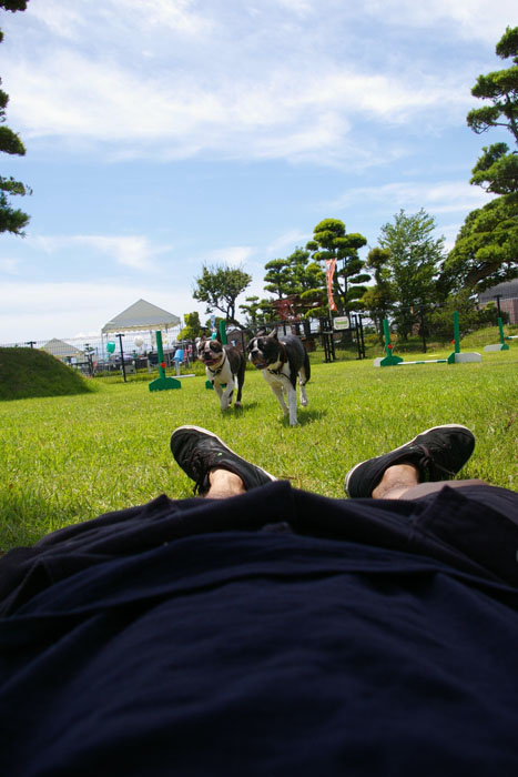 a0114222_1148491.jpg