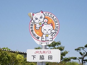 d0086228_16131610.jpg