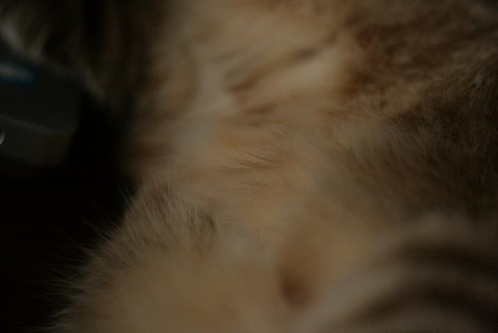 f0055228_19571620.jpg