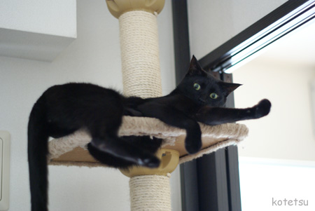 c0132438_20102922.jpg