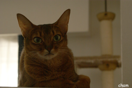 c0132438_20153589.jpg