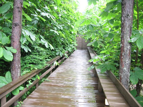 f0182838_1842349.jpg