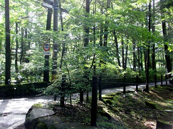 a0089450_21235070.jpg