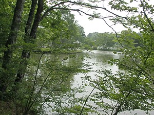 a0089450_22242915.jpg