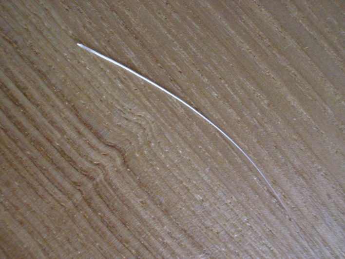 c0138553_10325870.jpg