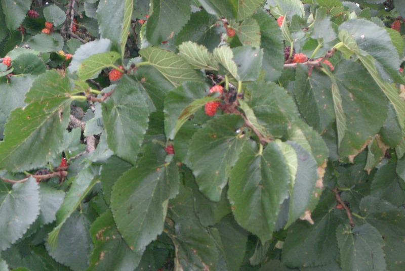 f0203253_23563071.jpg
