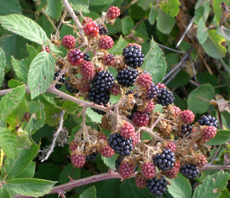 f0203253_23575125.jpg