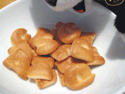 b0159557_2145119.gif