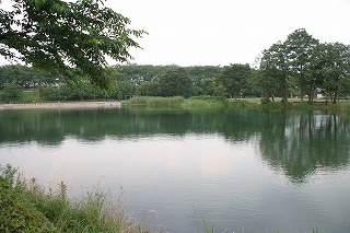 f0106664_721229.jpg