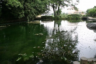 f0106664_7234873.jpg