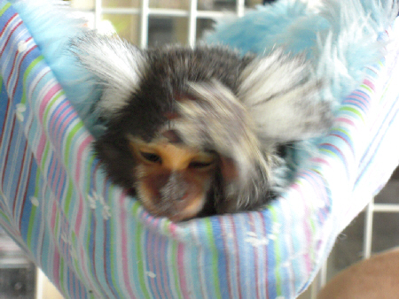 e0142065_20433993.jpg