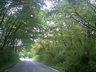 e0151566_126620.jpg
