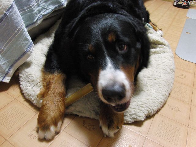 c0177668_2002383.jpg
