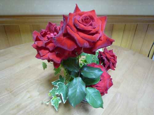 a0061973_8215925.jpg