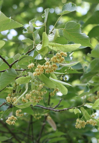 f0181173_22122360.jpg