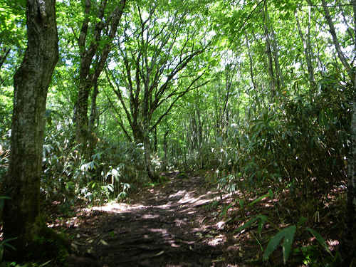 c0002874_22552885.jpg
