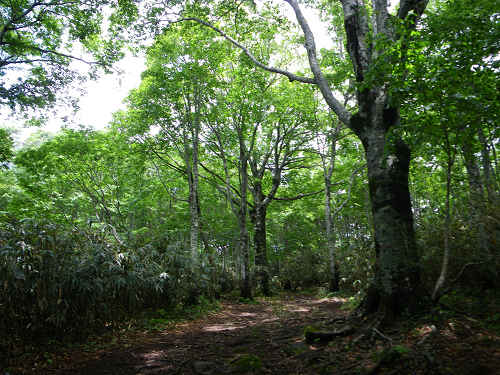 c0002874_22571185.jpg