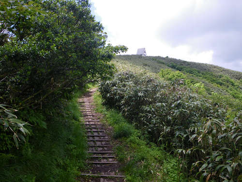c0002874_2304931.jpg