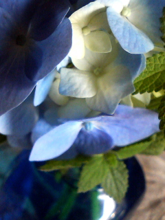 f0140174_11533550.jpg