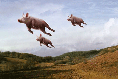 c0139575_21452071.gif