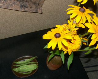 b0189977_18324789.jpg