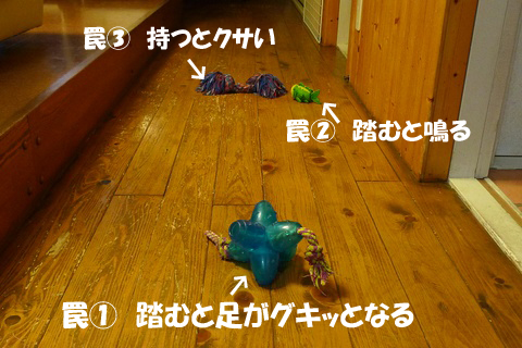d0043478_21443372.jpg