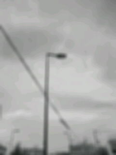 f0100480_2145027.jpg