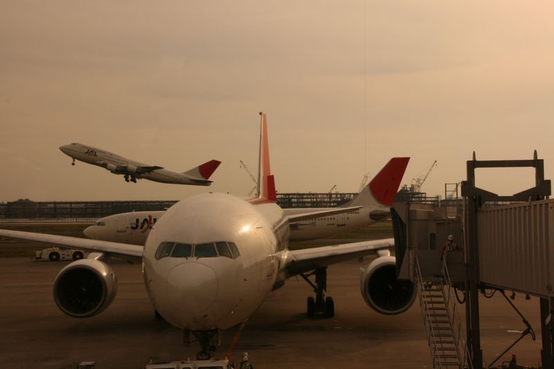 c0148781_19353845.jpg