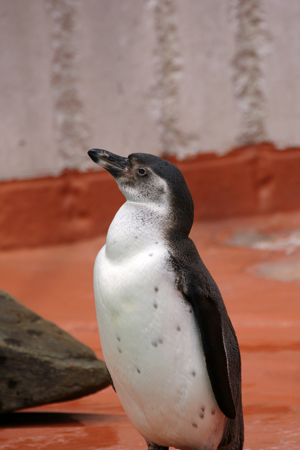 DSC09967_1.jpg