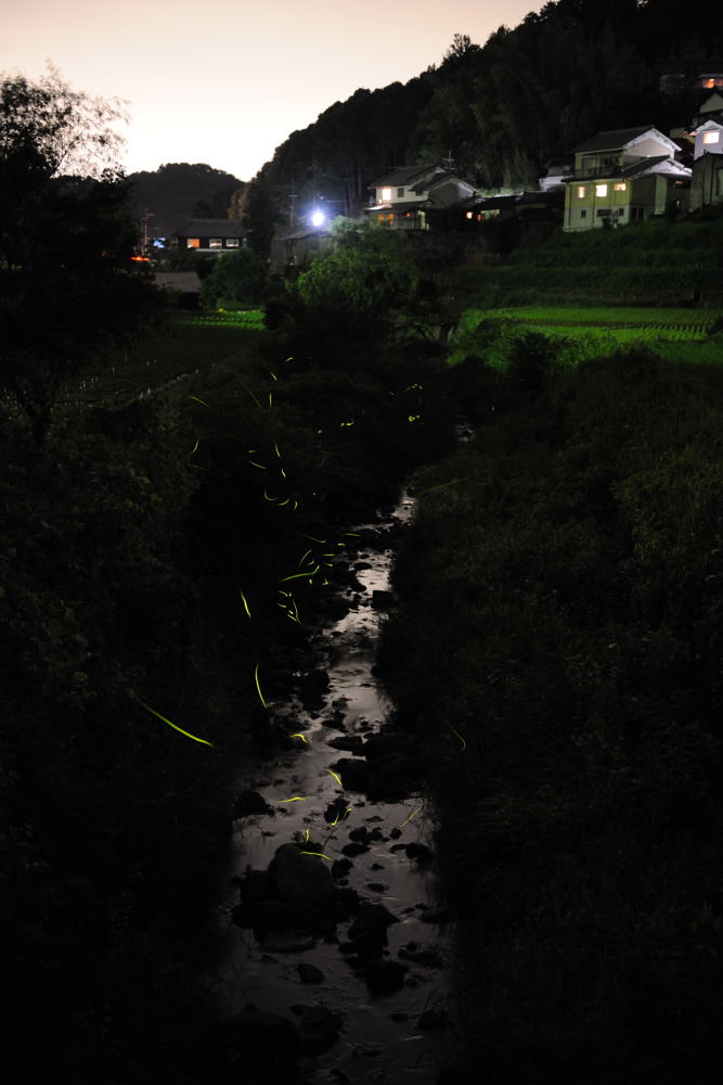 e0092186_2302212.jpg