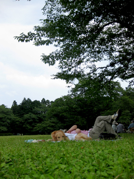 c0096393_2150951.jpg