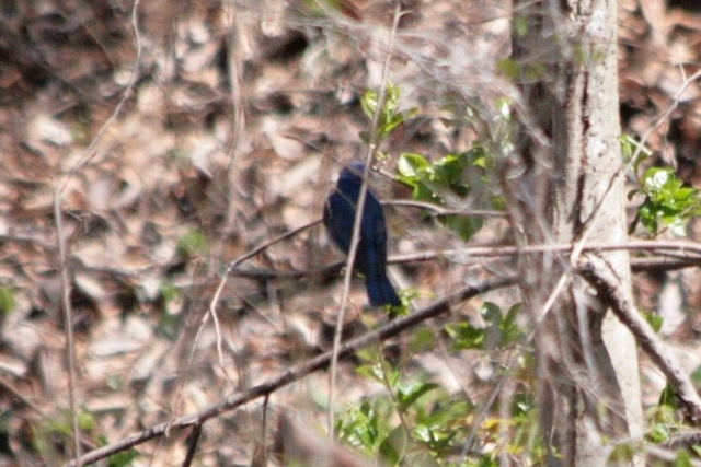 d0133693_2129115.jpg