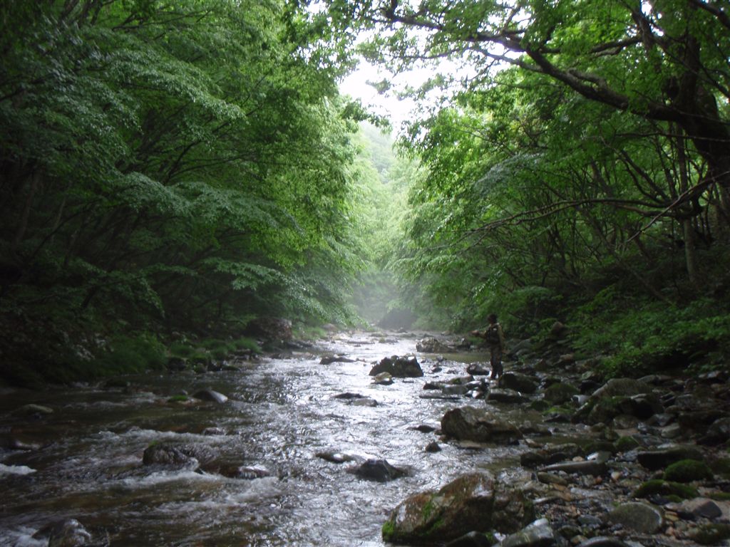 c0177497_20504615.jpg